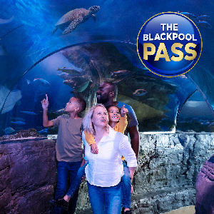 Discount Sea Life Attraction Tickets